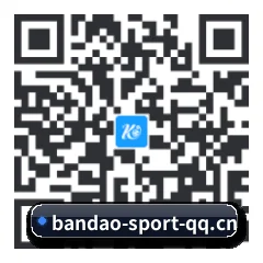 Apple 移动终端版 二维码
